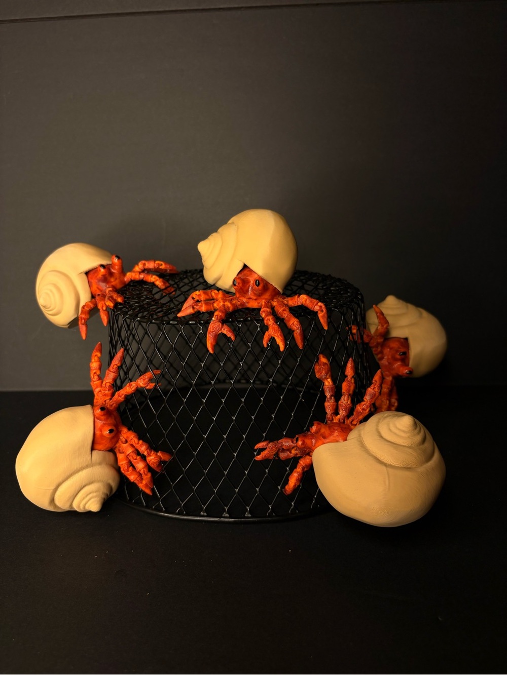 Play pretend pet hermit crab